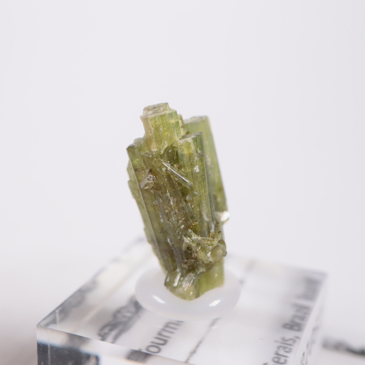 �֥饸�뻺 �ȥ�ޥ��