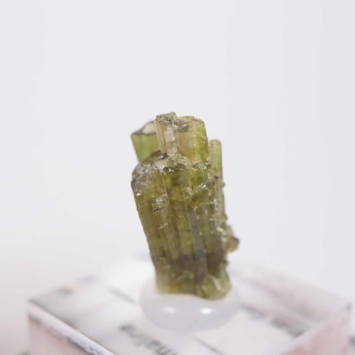 �֥饸�뻺 �ȥ�ޥ��