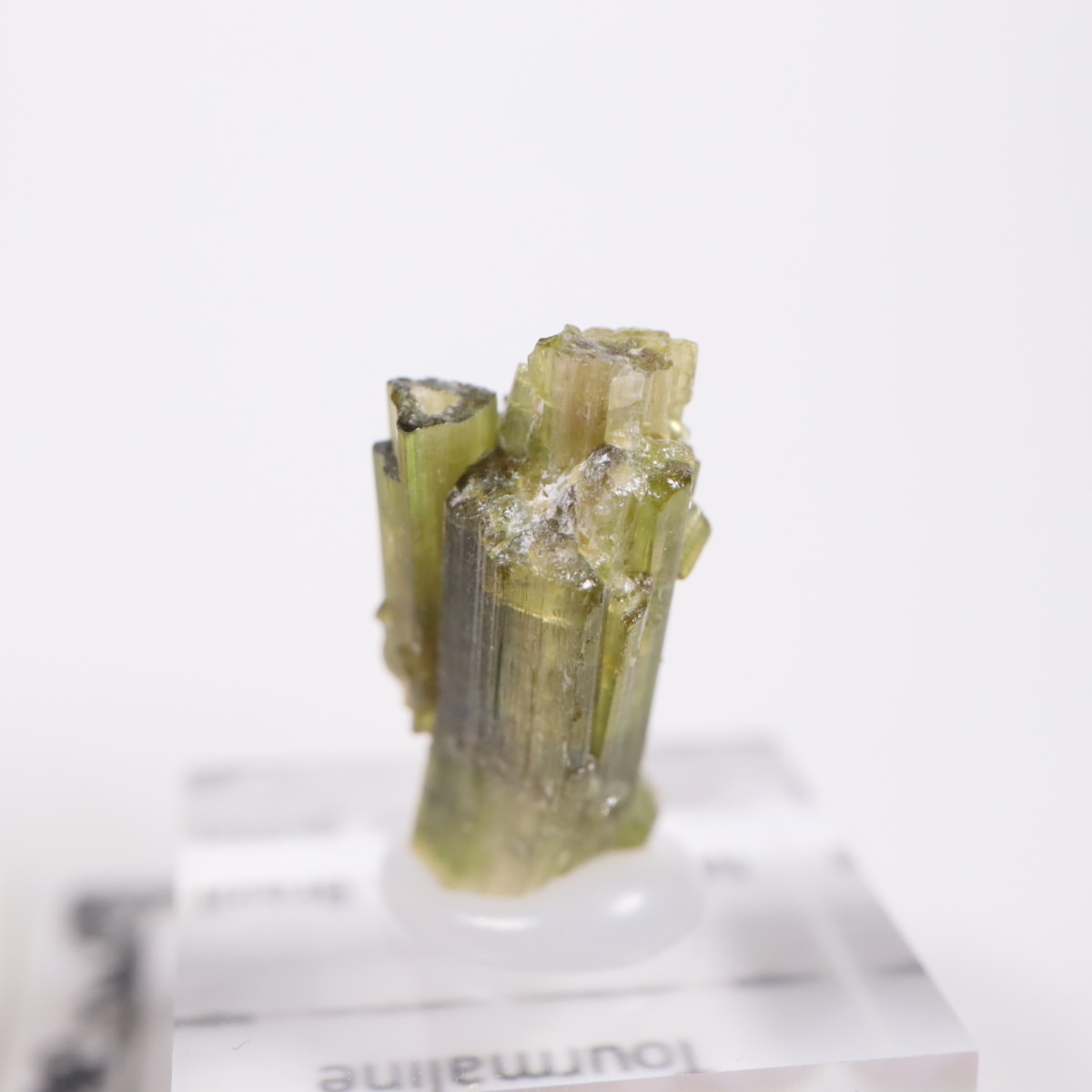 �֥饸�뻺 �ȥ�ޥ��