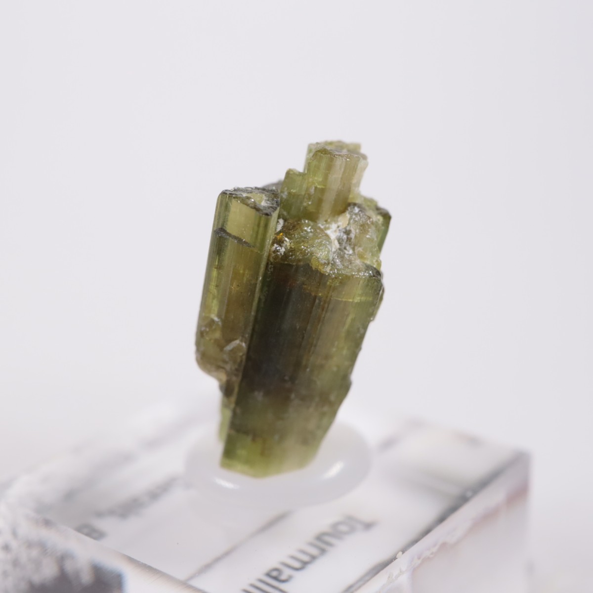 �֥饸�뻺 �ȥ�ޥ��