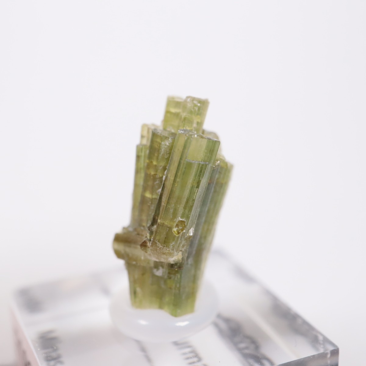 �֥饸�뻺 �ȥ�ޥ��