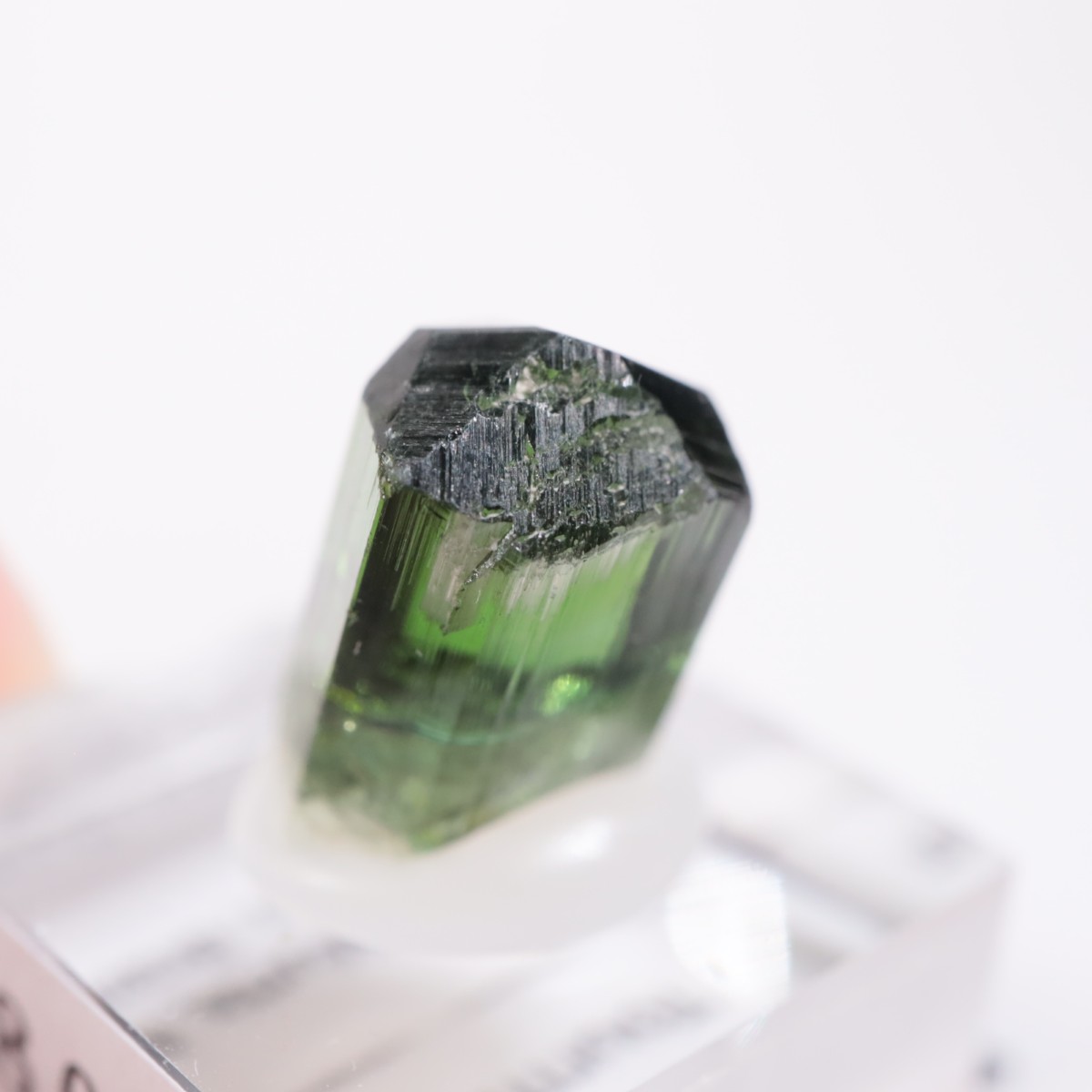 Coronel Murta�� �ȥ�ޥ��