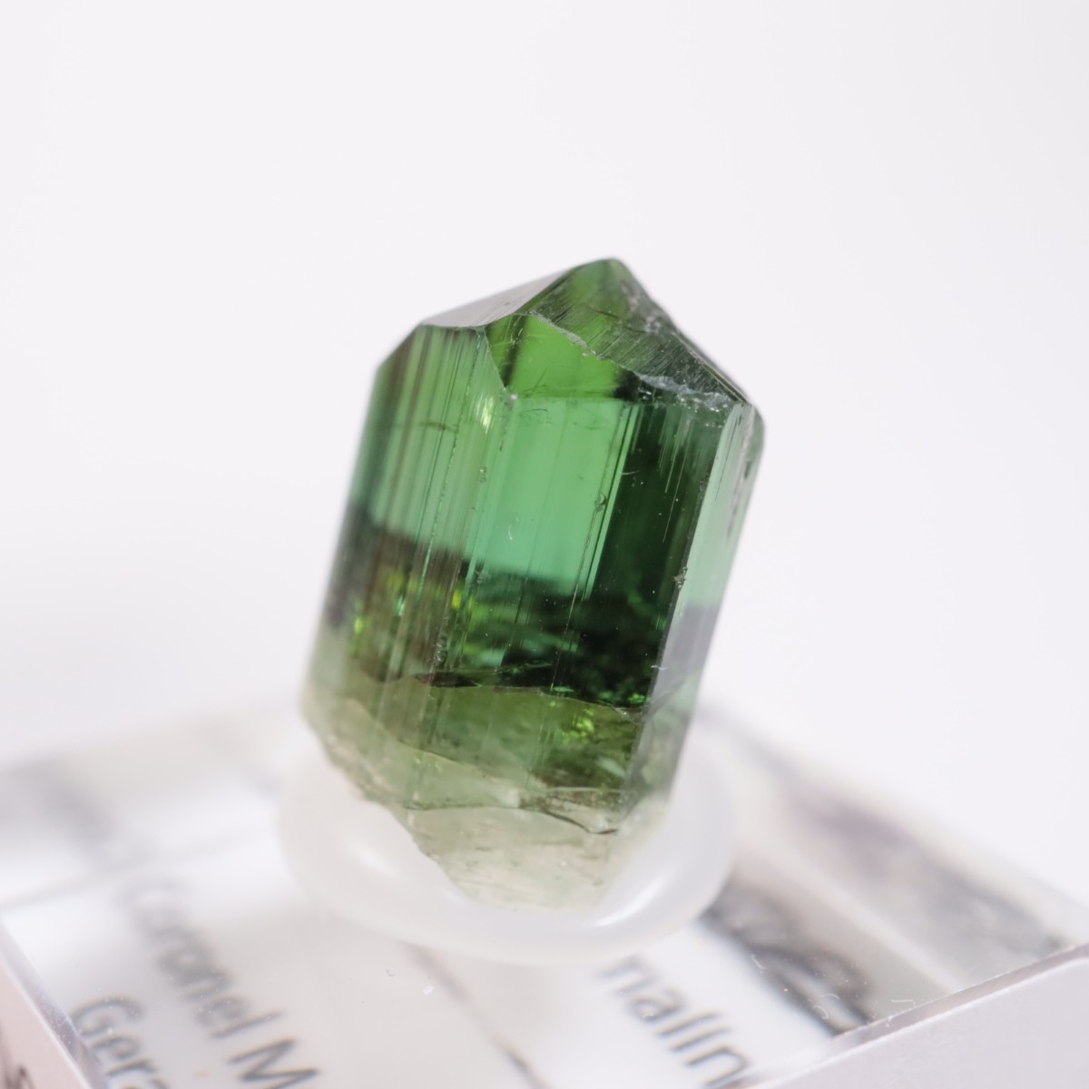 Coronel Murta�� �ȥ�ޥ��