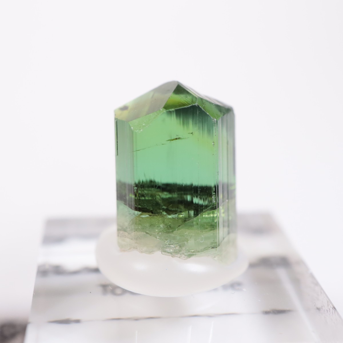 Coronel Murta�� �ȥ�ޥ��