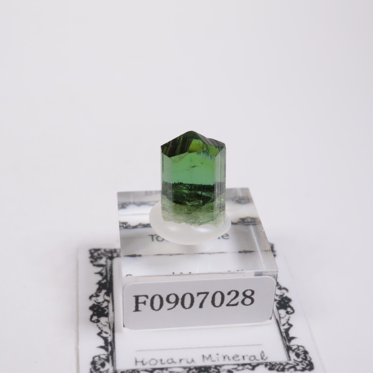 Coronel Murta�� �ȥ�ޥ��