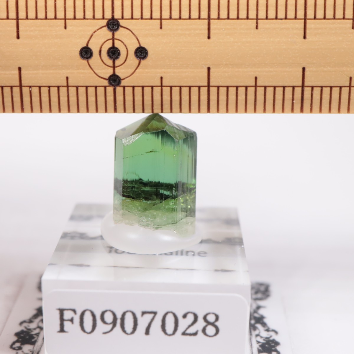 Coronel Murta�� �ȥ�ޥ��