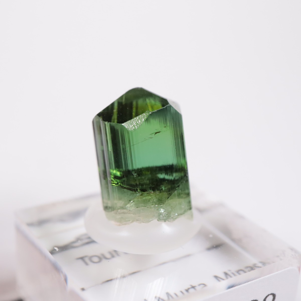 Coronel Murta�� �ȥ�ޥ��