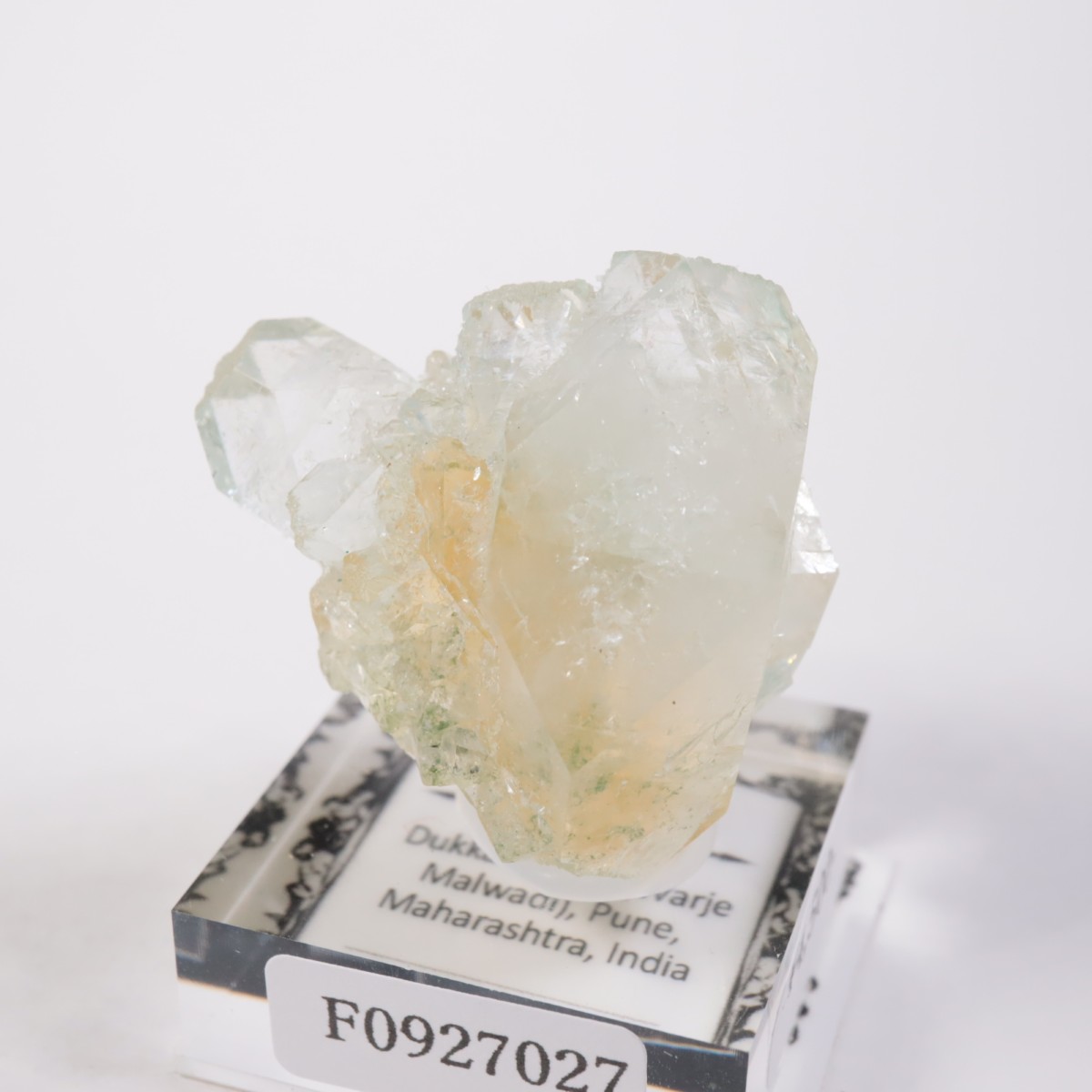 ����ɻ� ���ݥե��饤��