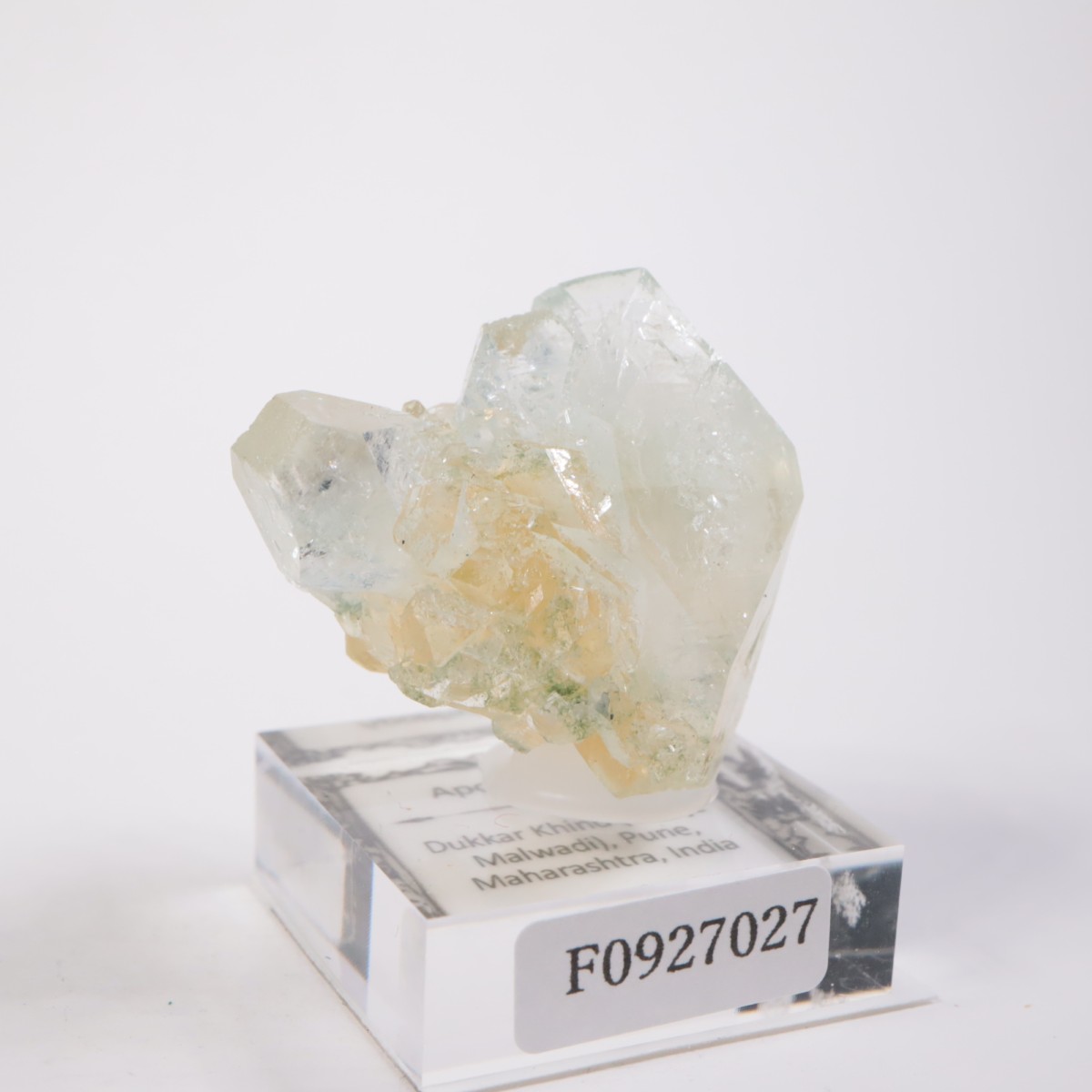 ����ɻ� ���ݥե��饤��