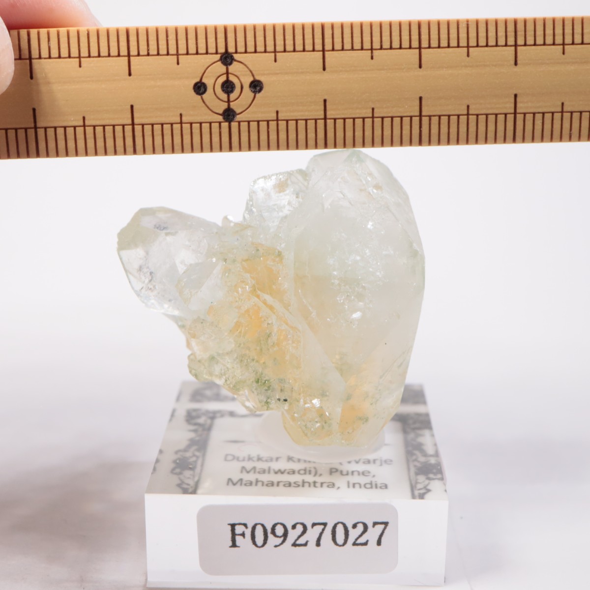 ����ɻ� ���ݥե��饤��