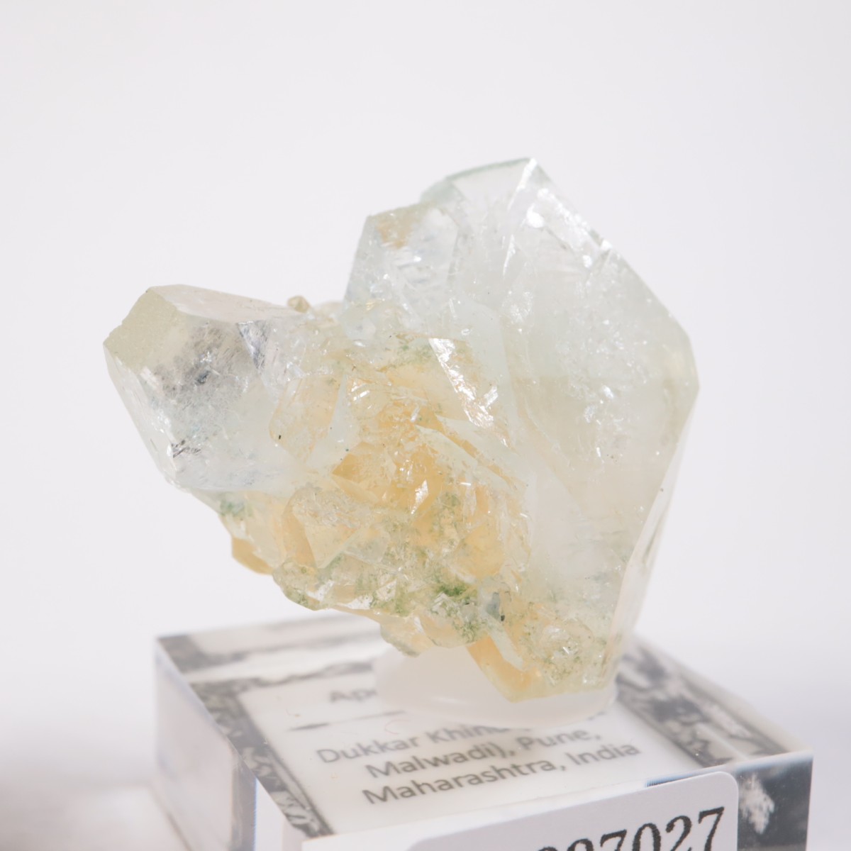 ����ɻ� ���ݥե��饤��