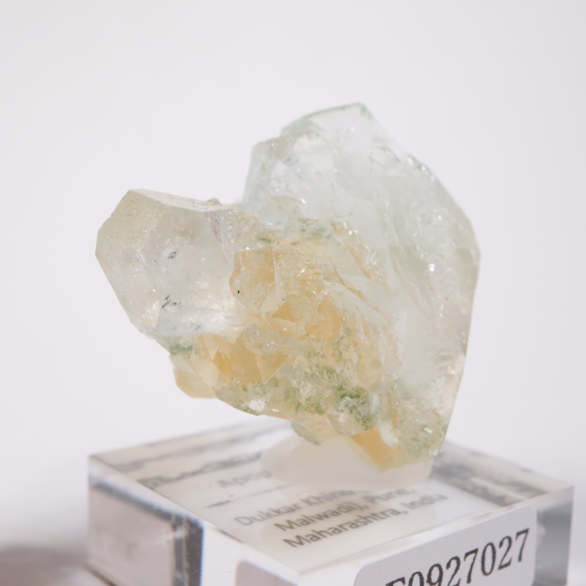 ����ɻ� ���ݥե��饤��