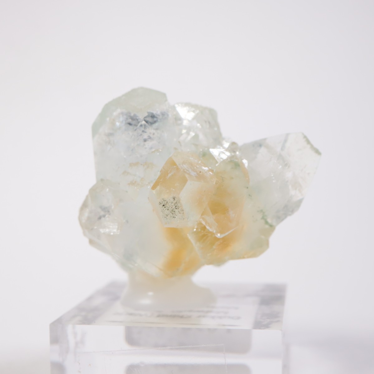 ����ɻ� ���ݥե��饤��