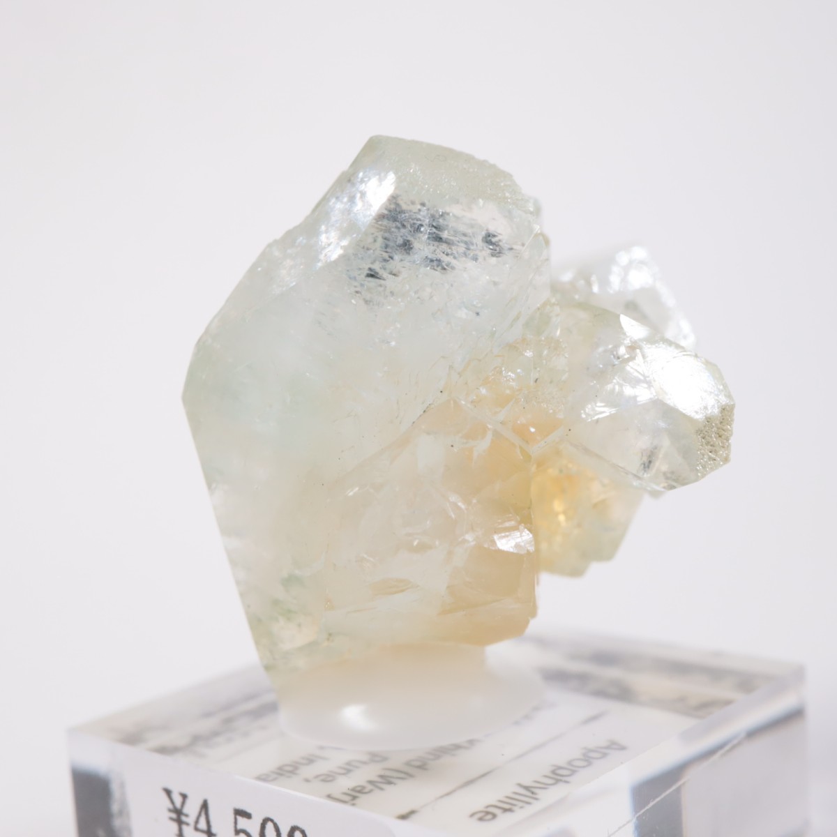 ����ɻ� ���ݥե��饤��