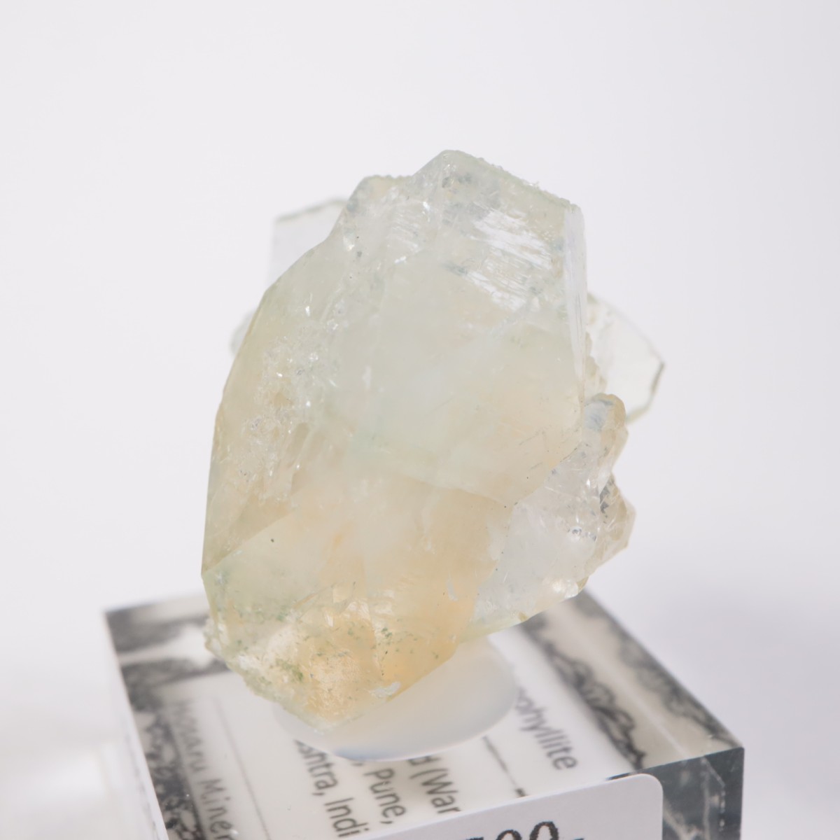 ����ɻ� ���ݥե��饤��