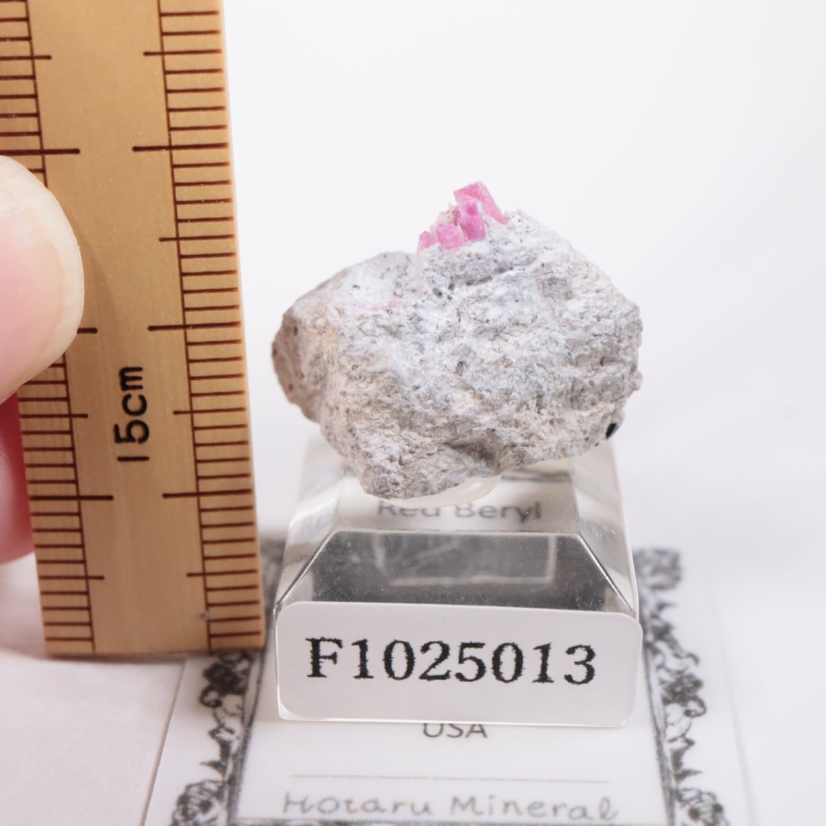 �楿�� ��åɥ٥��