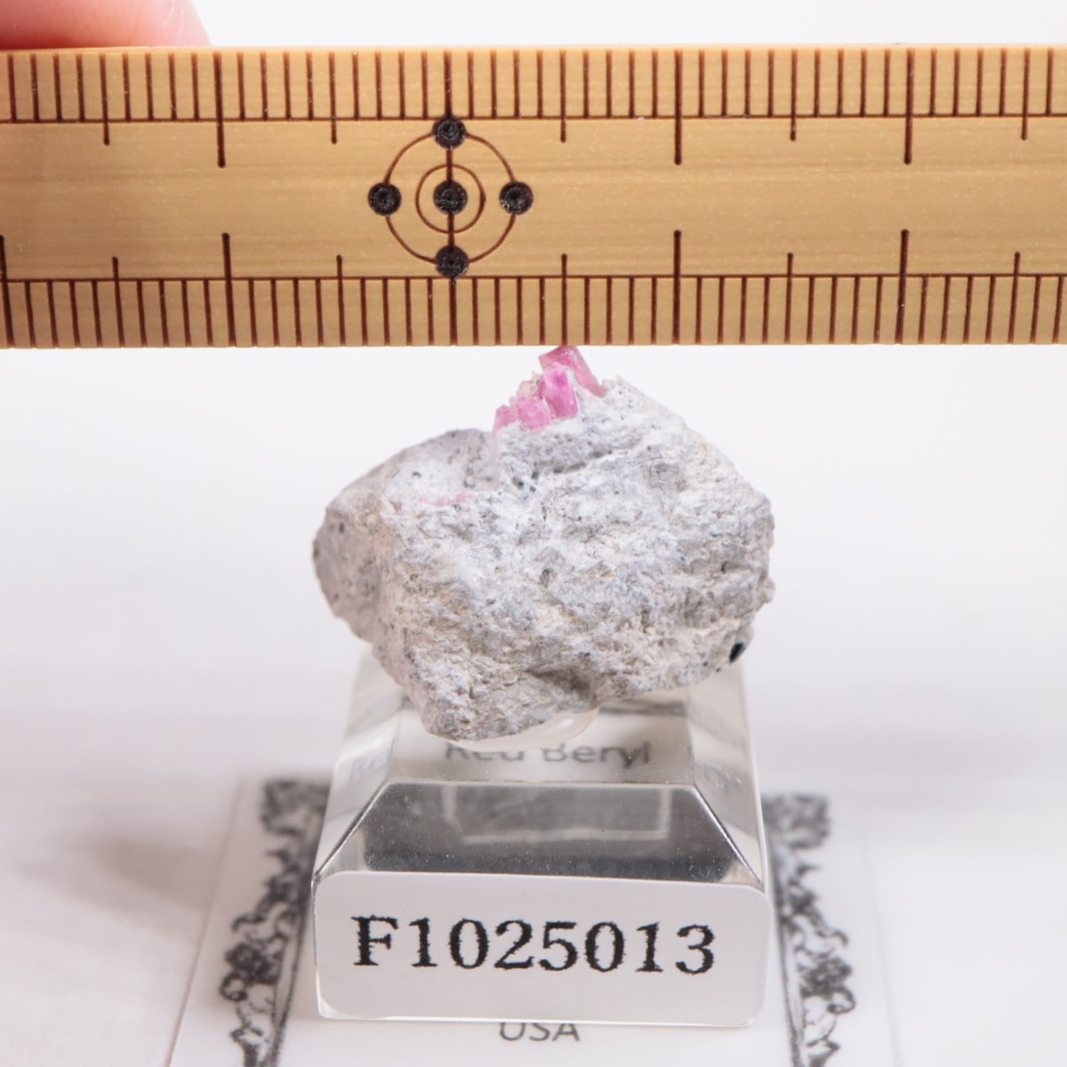 �楿�� ��åɥ٥��