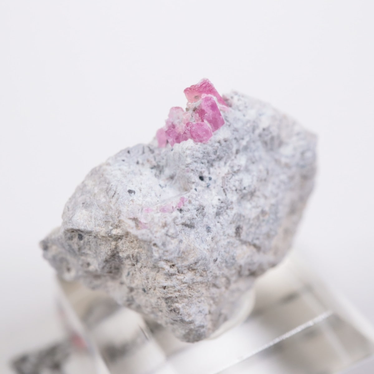 �楿�� ��åɥ٥��