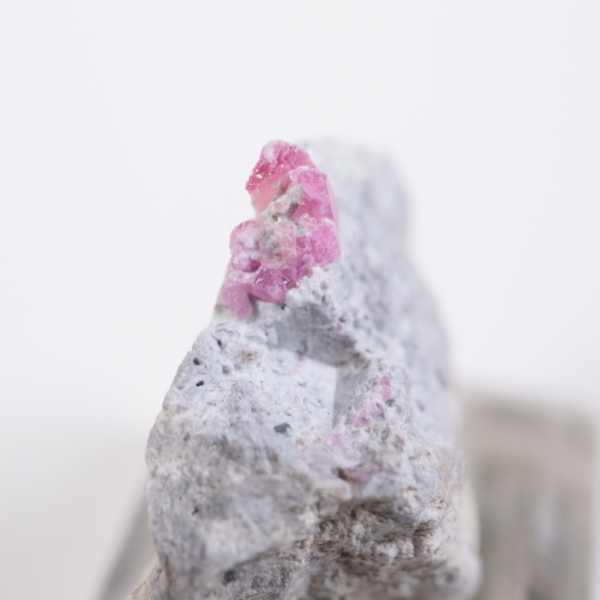 �楿�� ��åɥ٥��