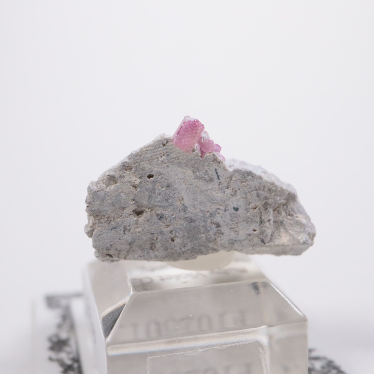 �楿�� ��åɥ٥��