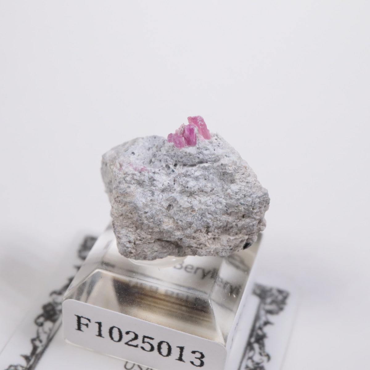 �楿�� ��åɥ٥��