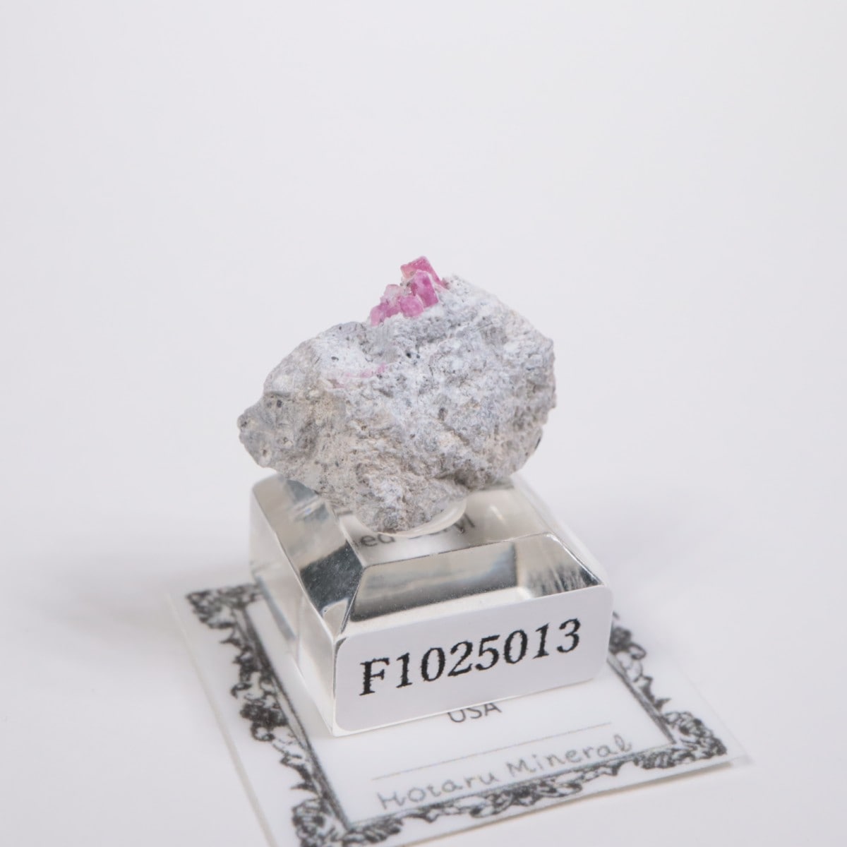 �楿�� ��åɥ٥��