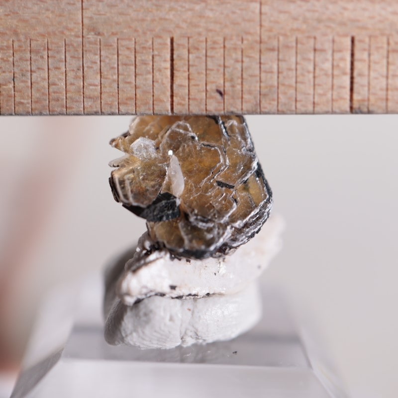 ���ʥ������ݥ���������