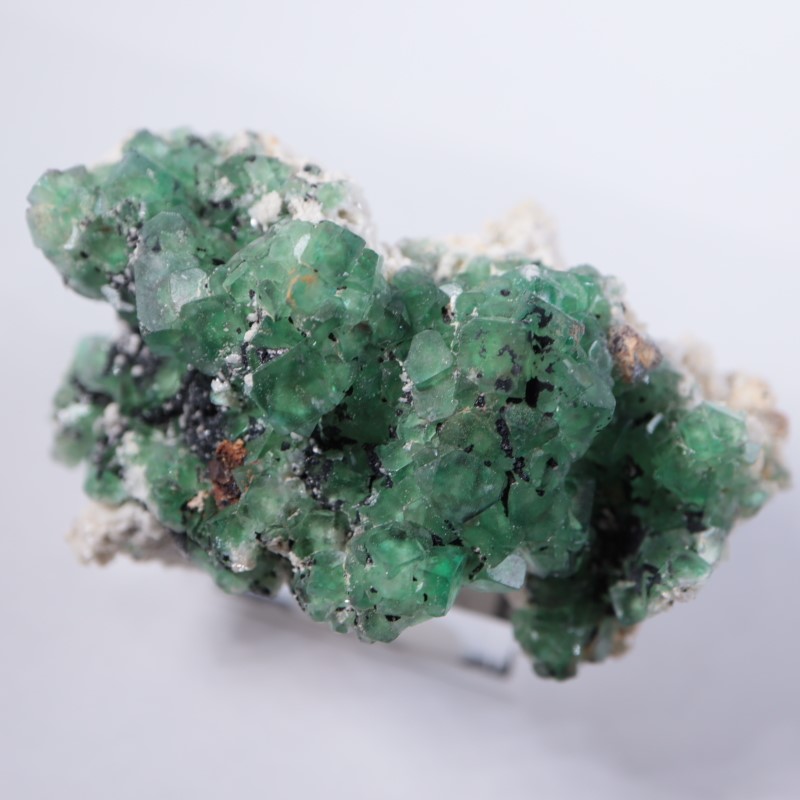 �ʥߥӥ������ե����饤��