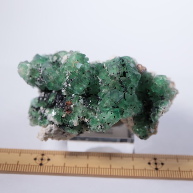 �ʥߥӥ������ե����饤��