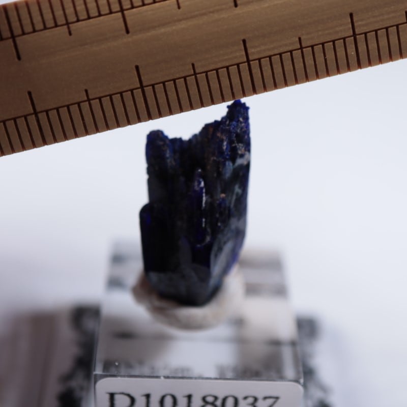 ����å����������饤��