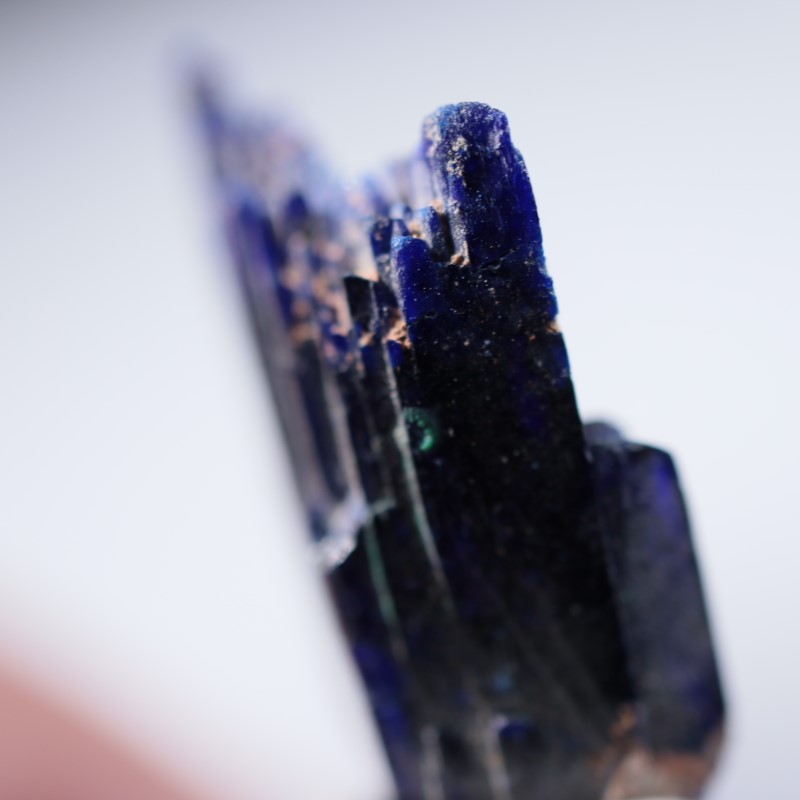 ����å����������饤��