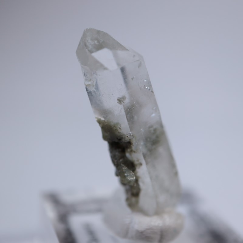 パキスタン産 クローライトインクォーツ | 鉱物標本,カ行