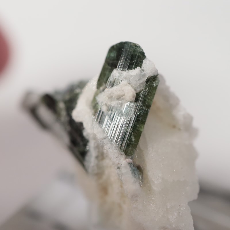 �֥饸�뻺���ȥ�ޥ��