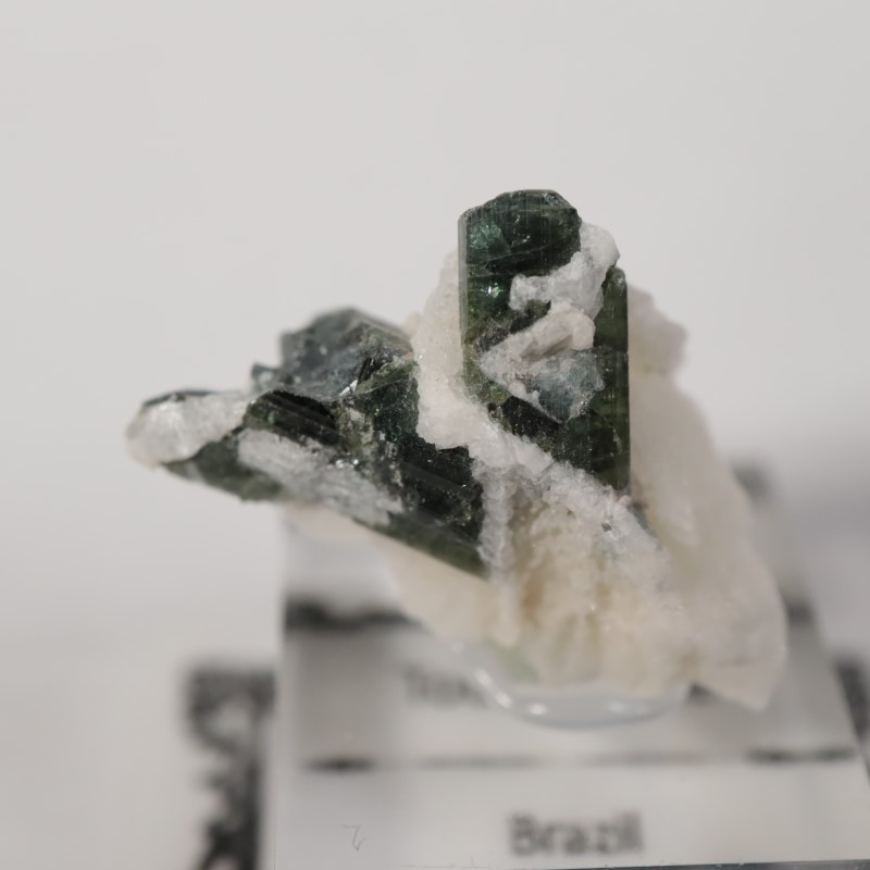 �֥饸�뻺���ȥ�ޥ��