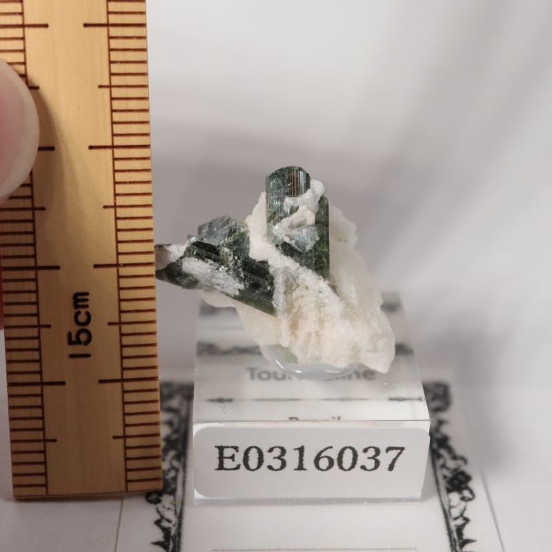 �֥饸�뻺���ȥ�ޥ��