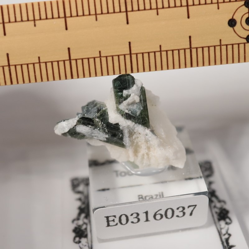 �֥饸�뻺���ȥ�ޥ��