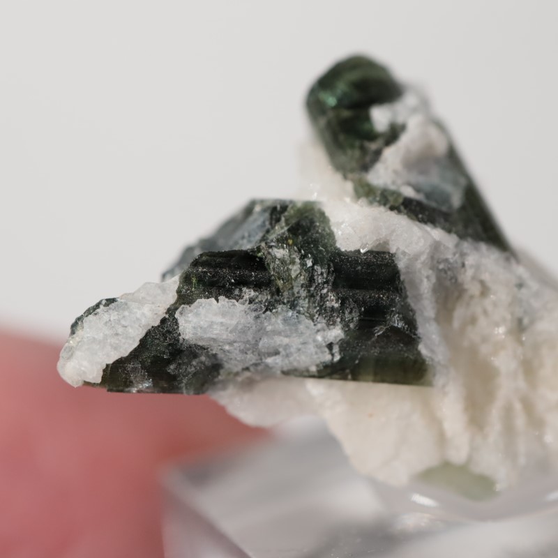 �֥饸�뻺���ȥ�ޥ��