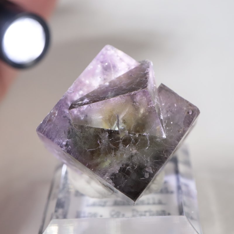 �ѡ��ץ�쥤��ݥ��åȡ�����