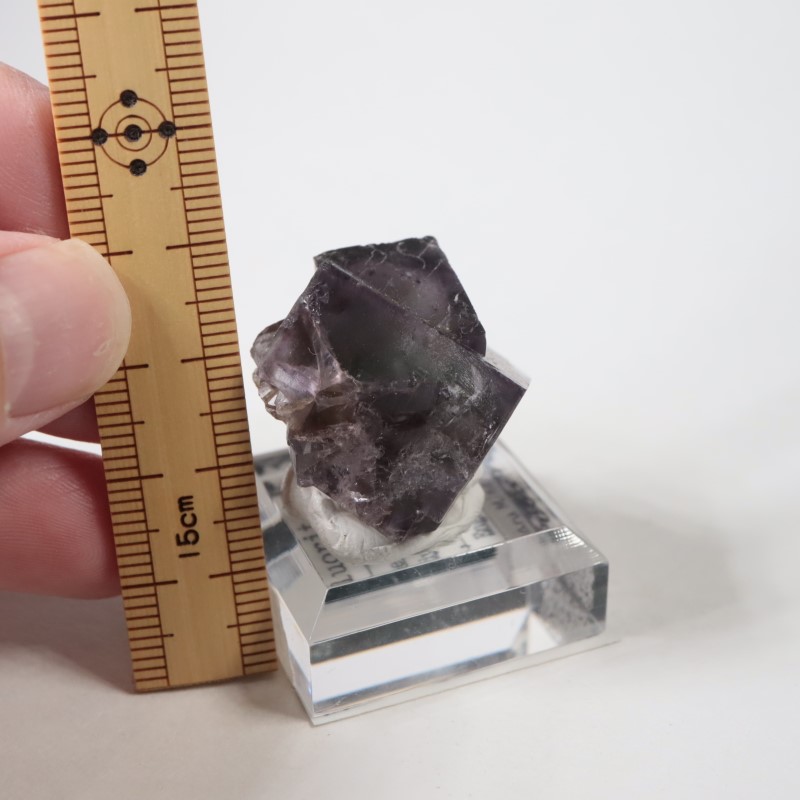 �ѡ��ץ�쥤��ݥ��åȡ�����