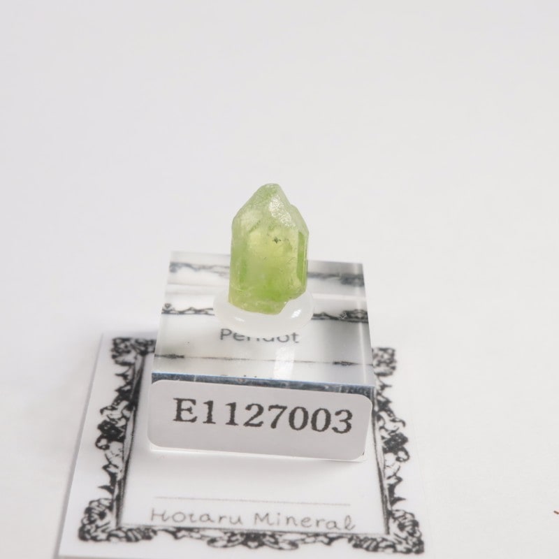 合計5.05ct　ペリドット　鉱物標本＆ルースセット ペリドット の商品一覧- 鉱物標本・隕石標本販売のWeb専門店