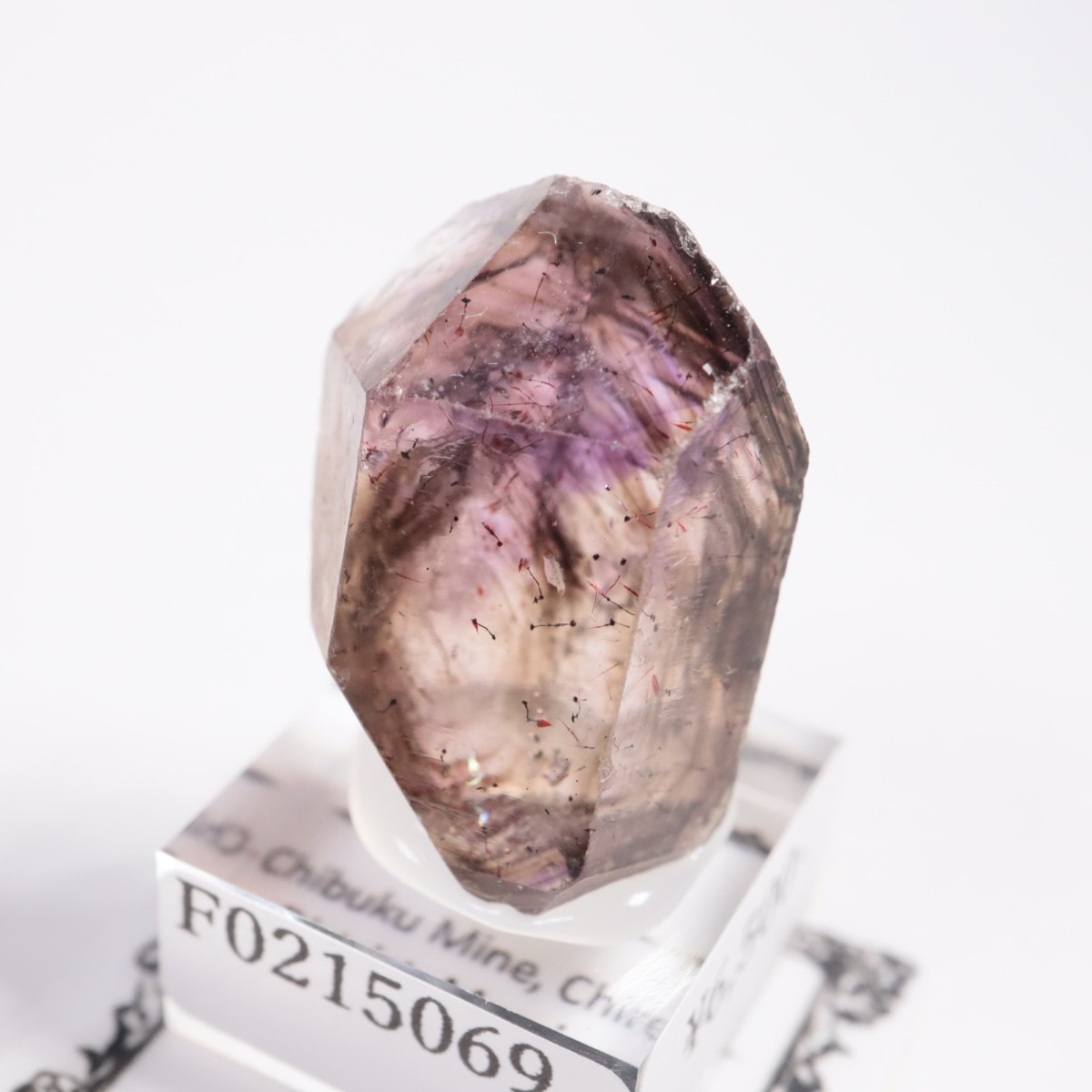 ����Х֥��� ���᥷����