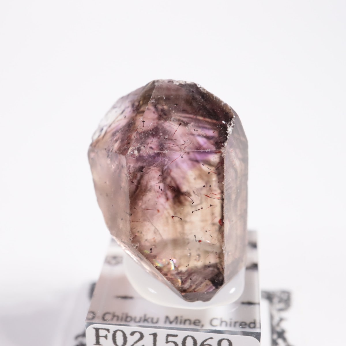 ����Х֥��� ���᥷����