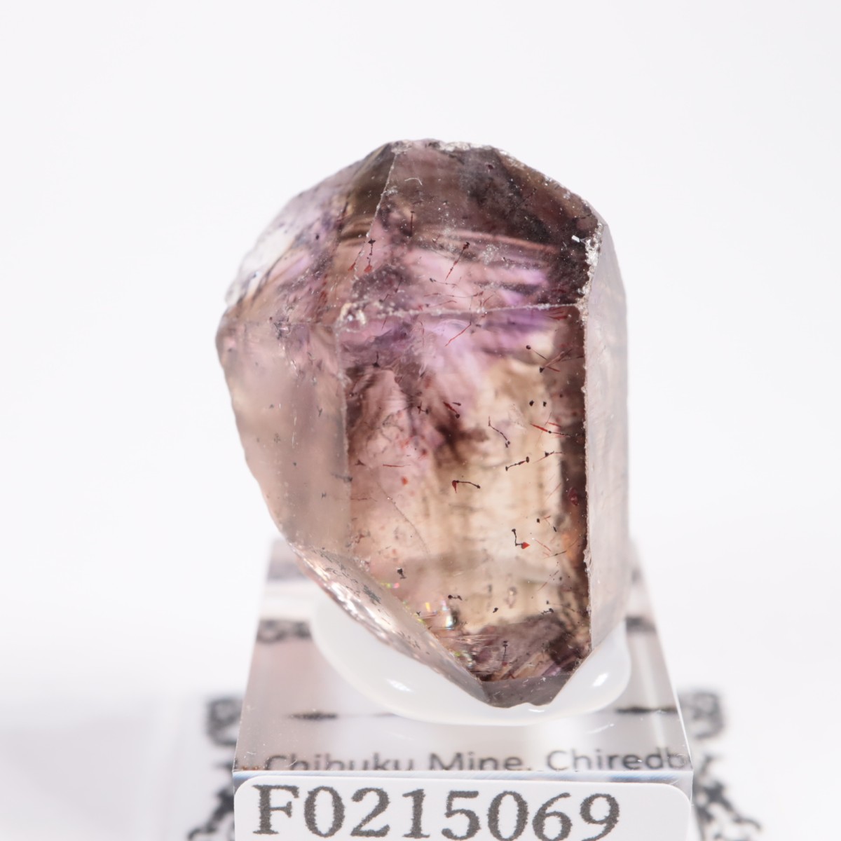 ����Х֥��� ���᥷����