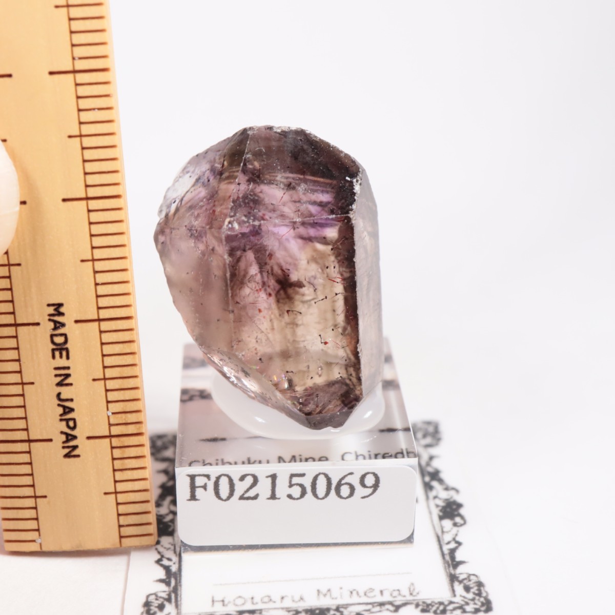 ����Х֥��� ���᥷����