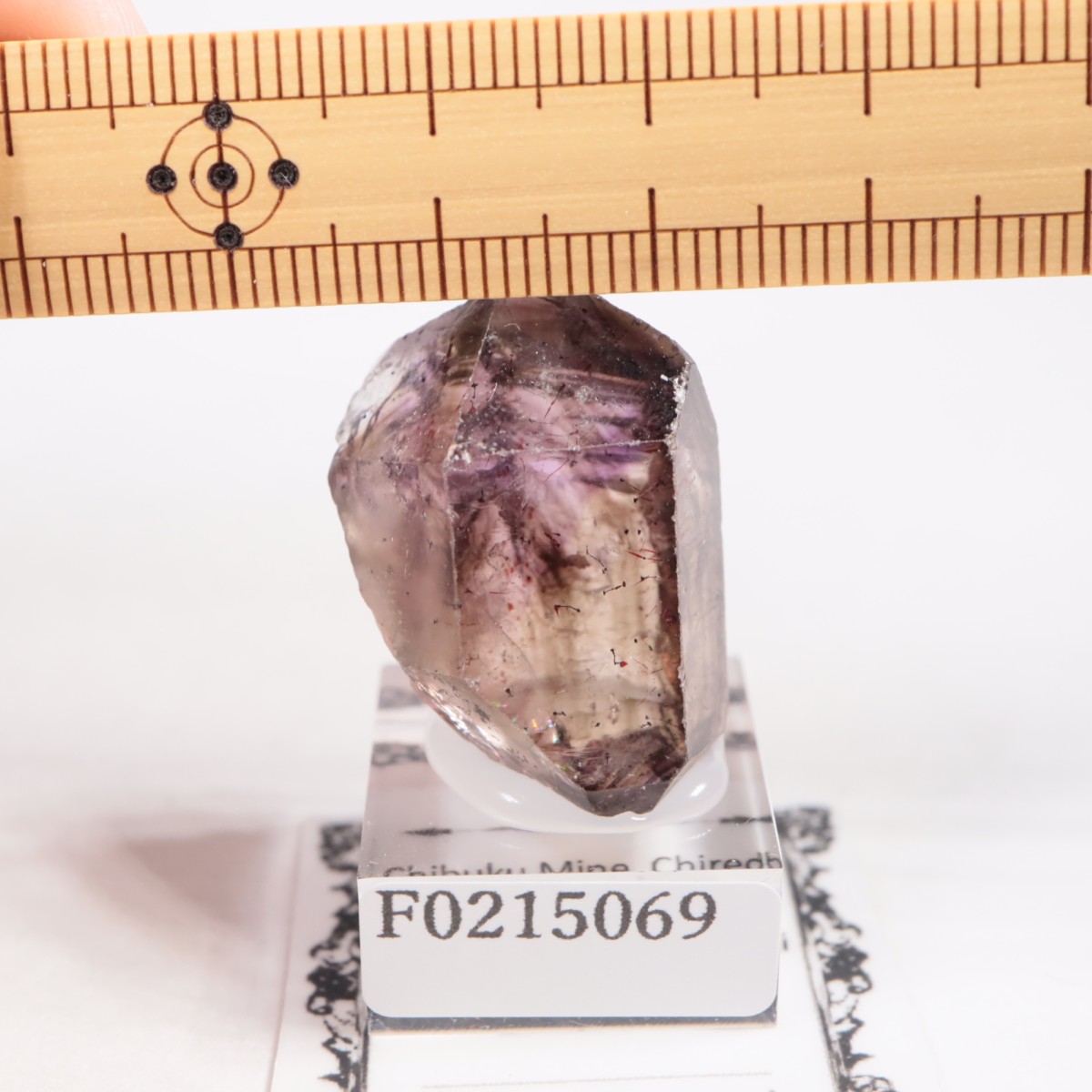 ����Х֥��� ���᥷����