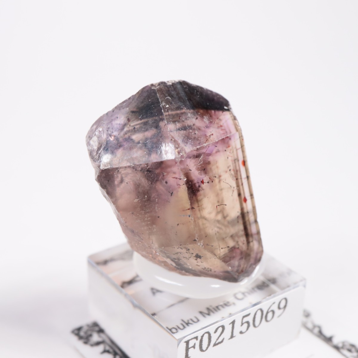 ����Х֥��� ���᥷����