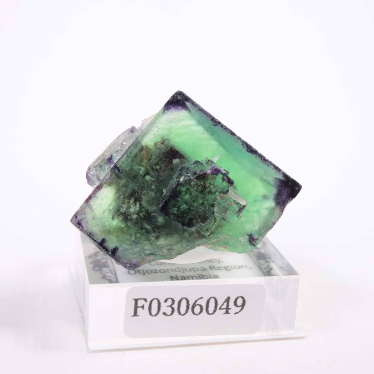 �����륹�ۻ��� �ե����饤��