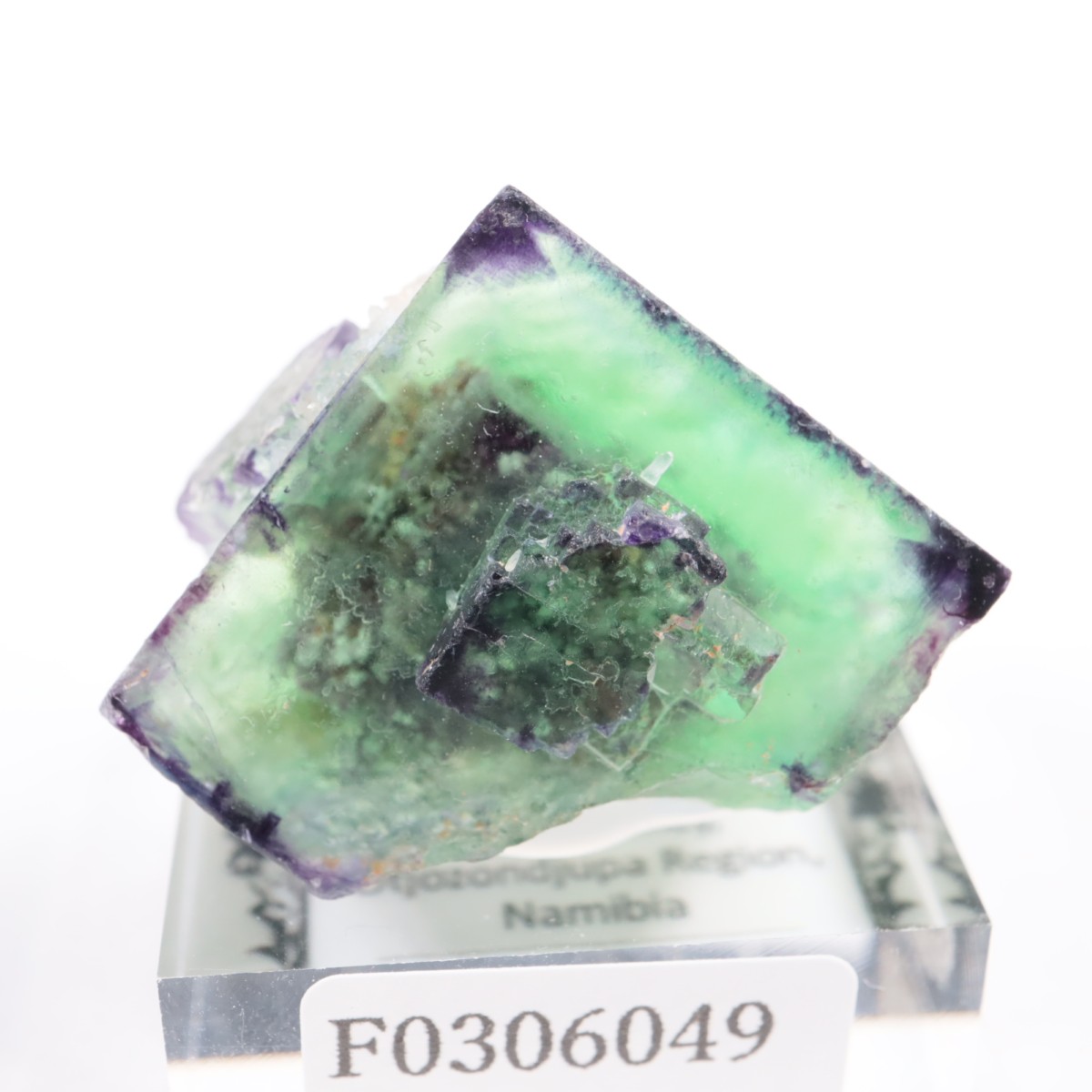 �����륹�ۻ��� �ե����饤��