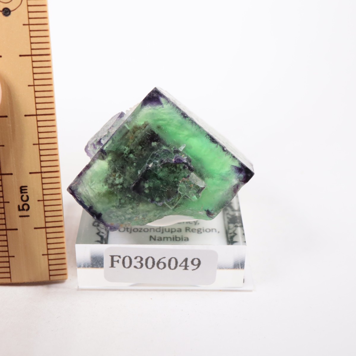 �����륹�ۻ��� �ե����饤��