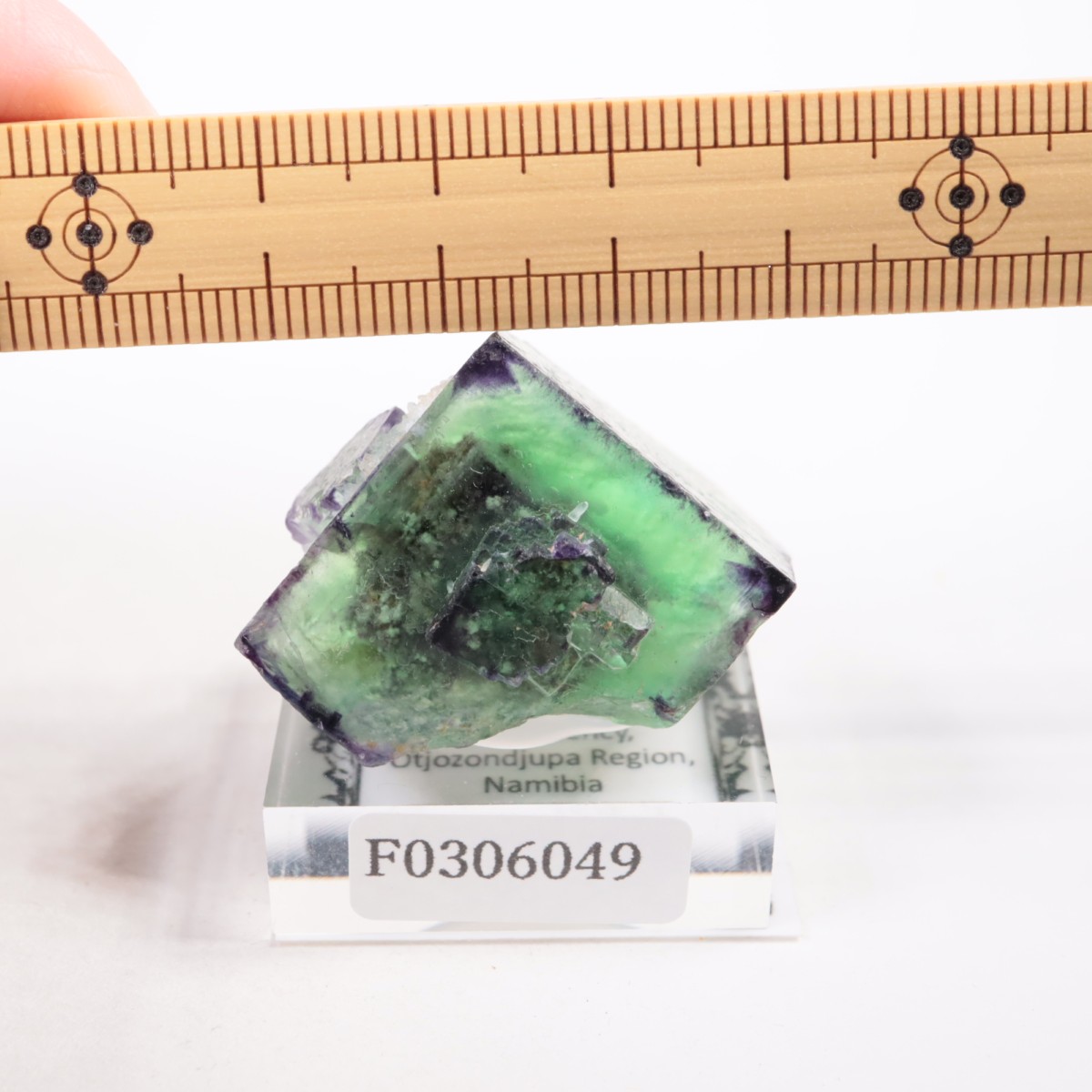 �����륹�ۻ��� �ե����饤��